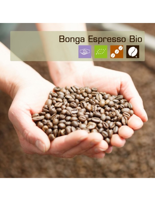 Bonga Espresso Bio