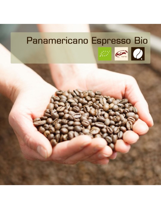Panamericano Espresso Bio