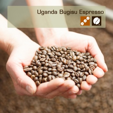 Uganda Bugisu Espresso