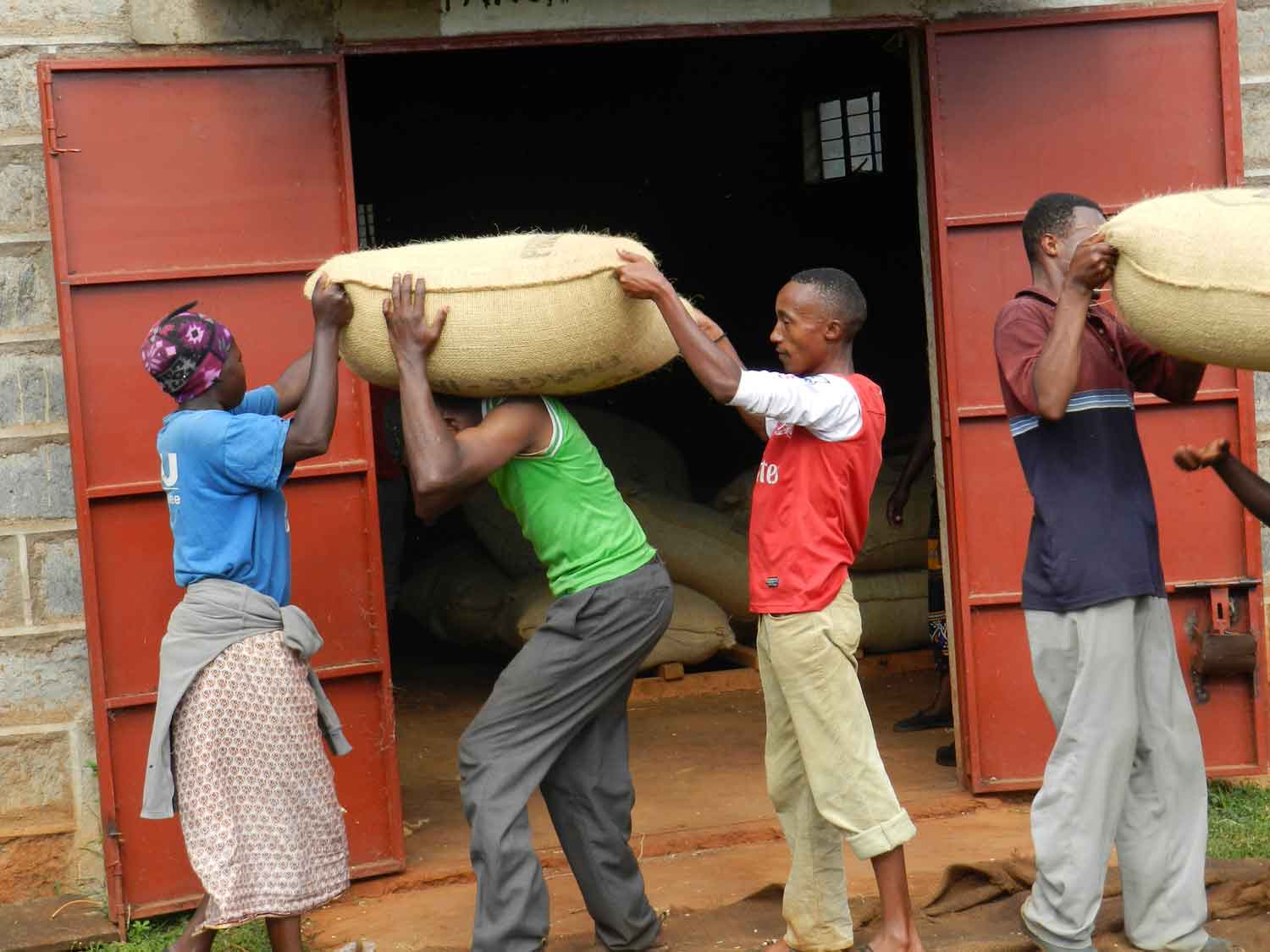 schwere körperliche Arbeit im Lager - Kenia Kedovo - KFE Die Kaffeerösterei